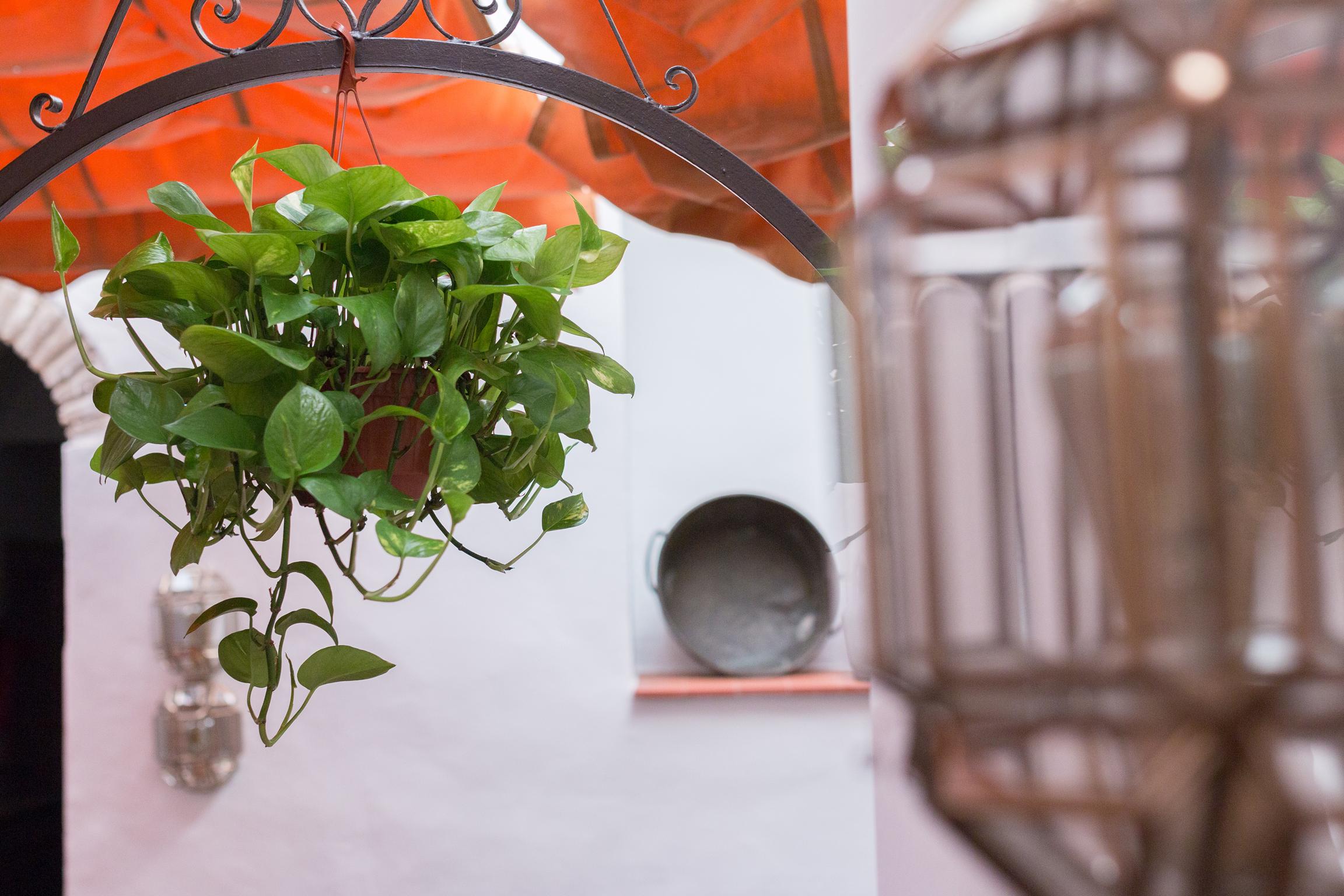 Los Patios Cordoba Luaran gambar