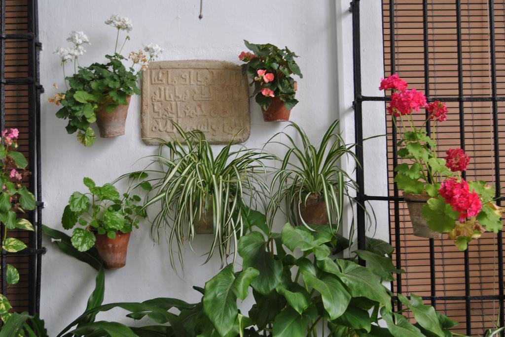 Los Patios Cordoba Luaran gambar