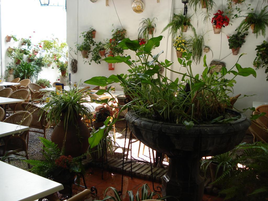 Los Patios Cordoba Luaran gambar